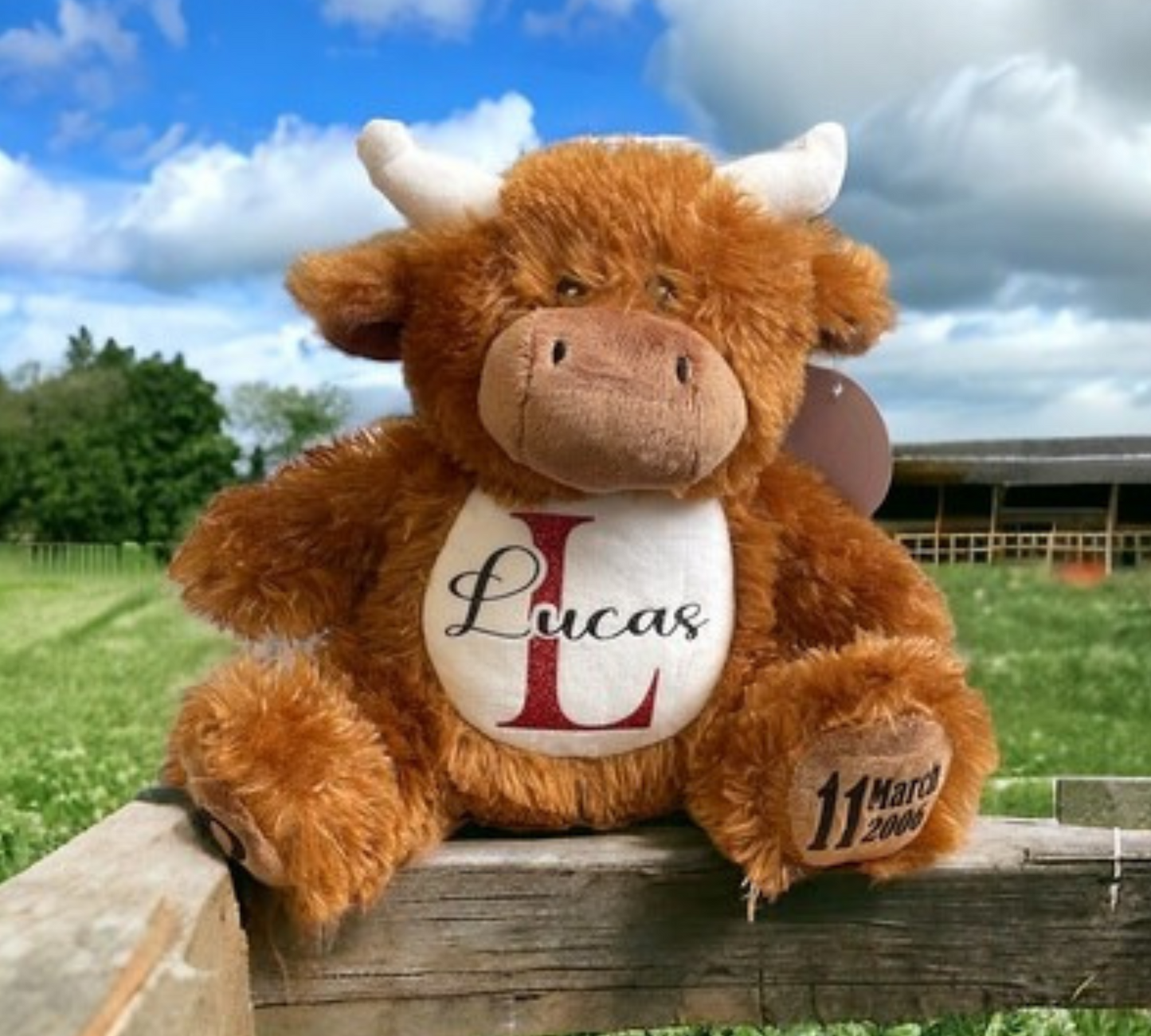 Personalised Birthday Teddy Bear: Custom Name Glitter Print Stuffed Animal