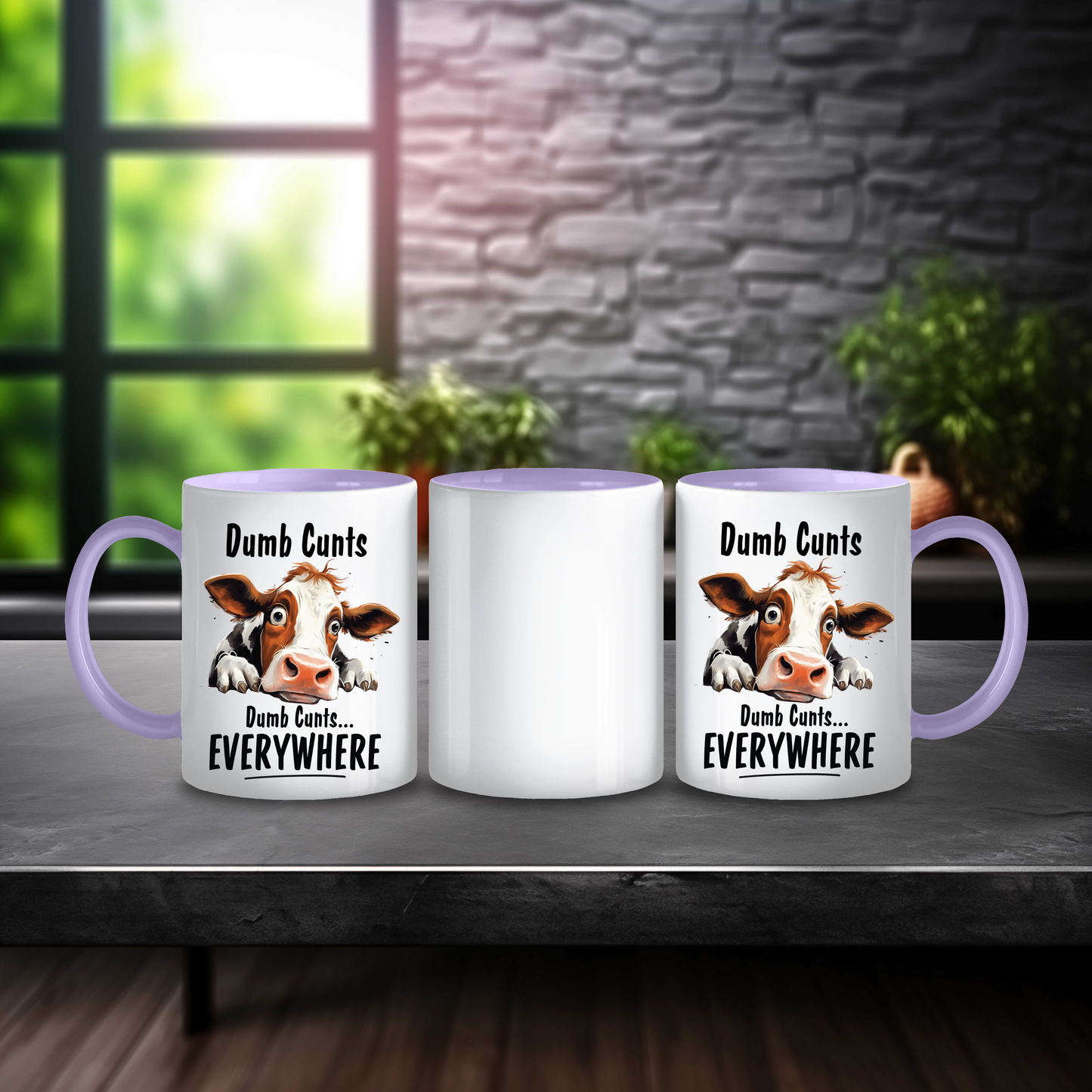 Sarcastic "Dumb C**t" Mug